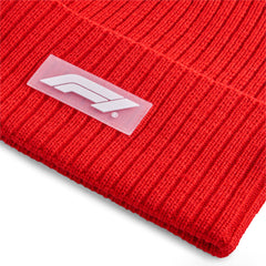 F1 Beanie