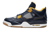 Jordan 4 Retro Dunk From Above
