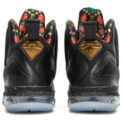 Nike Lebron 9 Watch the Throne (2022)