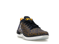 Jordan Trainer 1 Low Michigan Sneakers College Navy White Amarillo