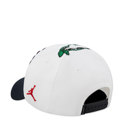 Youth Jordan AJ13 Cherry Dice Rise Dad Cap