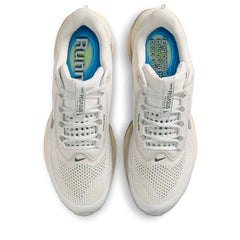 Nike Pegasus Premium 'Running Is Mental' - Platinum Tint/Reflect Silver
