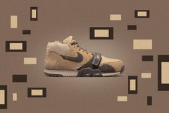 Air Trainer 1 ‘Shima Shima’ - Hay/Baroque Brown/Varsity Red