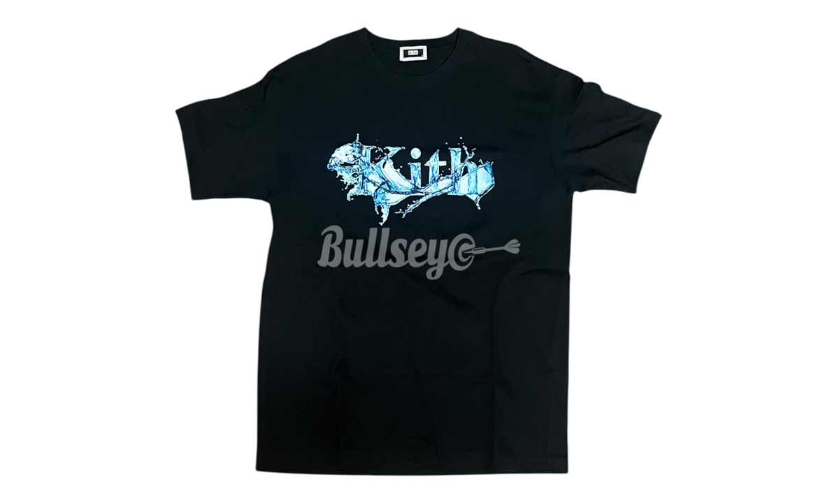 Kith Hydro Classic Logo Black T-Shirt