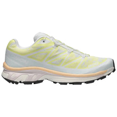 Salomon XT-6 Alpen Blossom Ice Flow